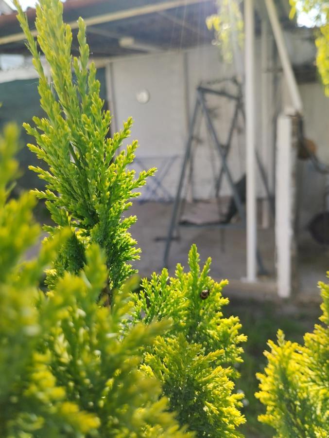 Marija Apartman Osijek Bagian luar foto
