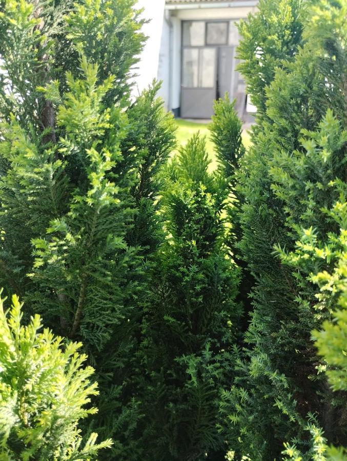 Marija Apartman Osijek Bagian luar foto